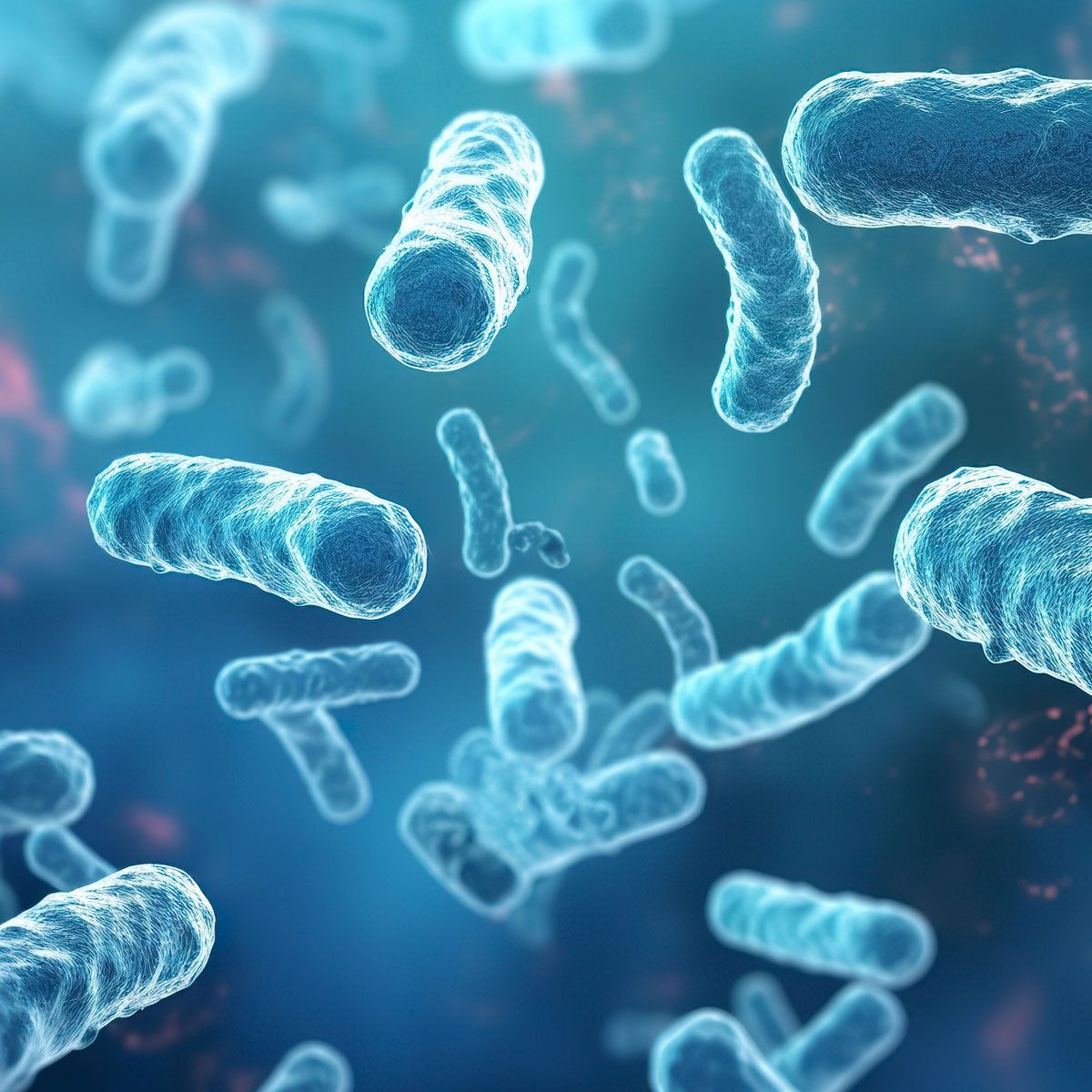 Legionella bakterier varmvattenberedare